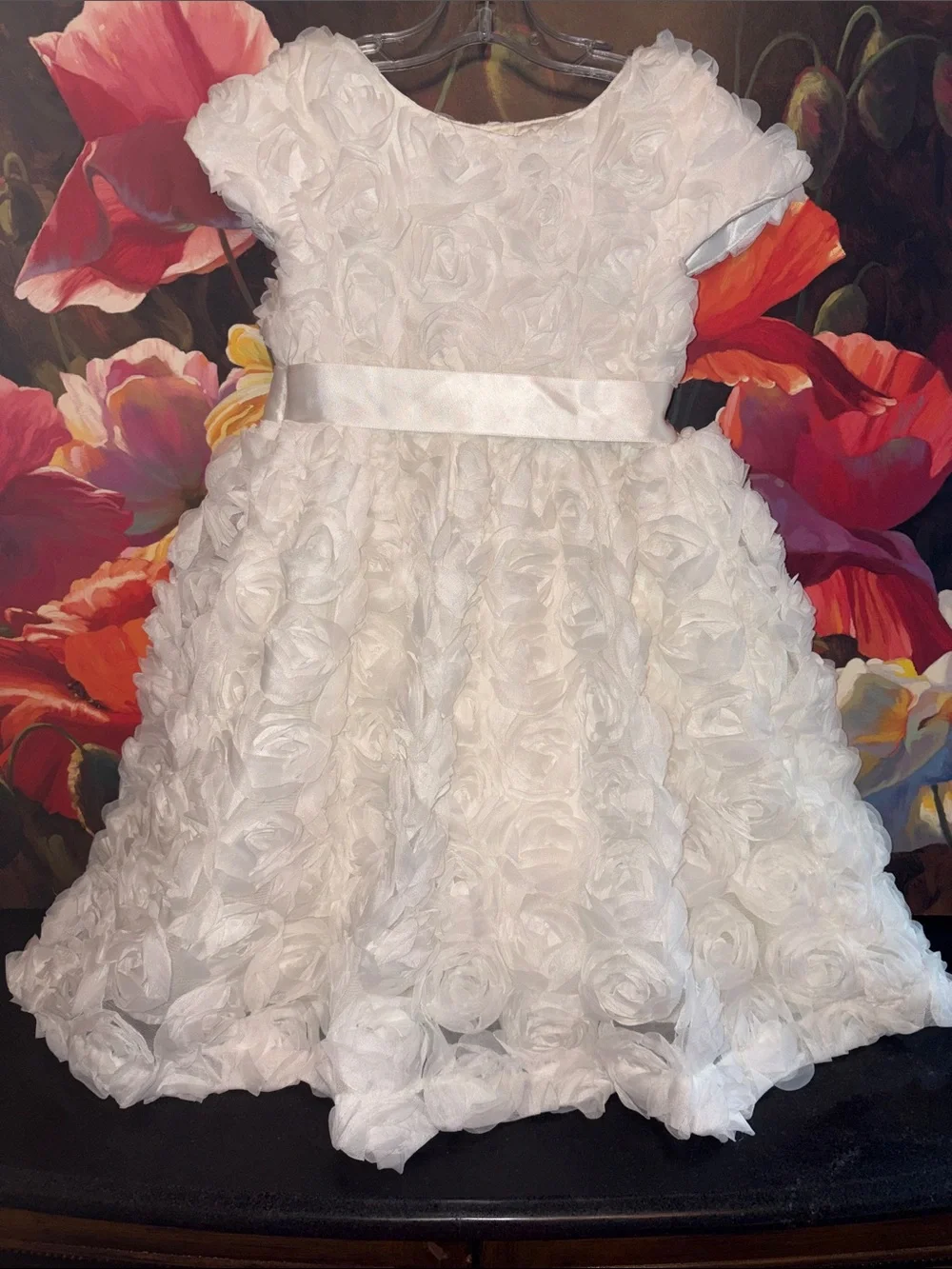 NWOT Gymboree White Rosette Party Dress